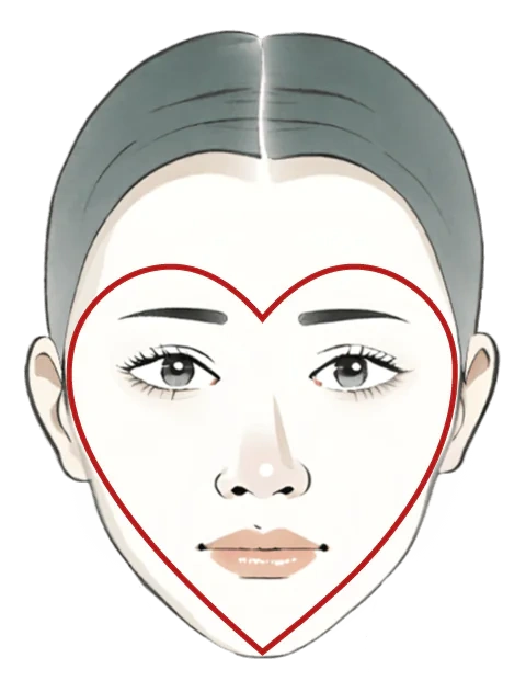 Wide forehead and cheekbones with narrow, pointed chin resembling inverted triangle.